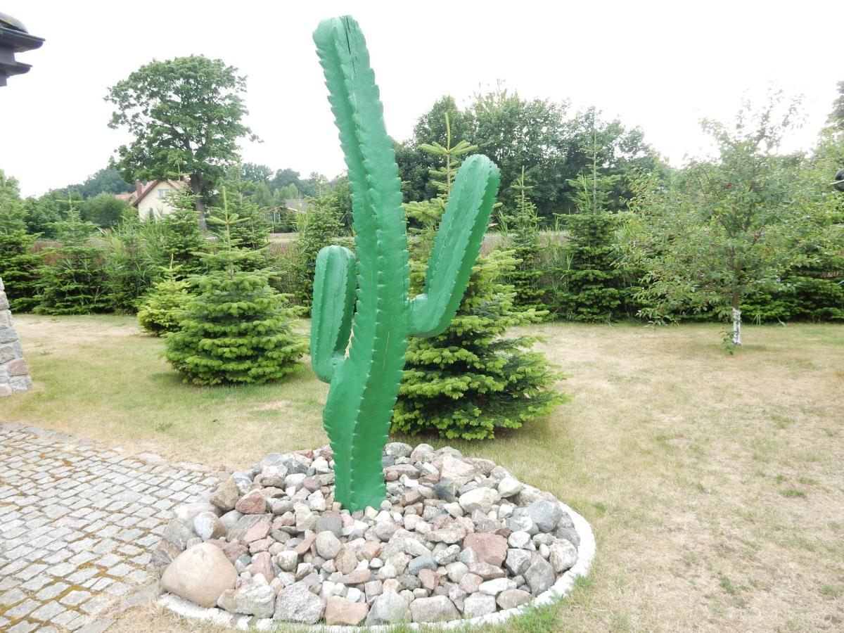 Domki Kaktus Osieki  Bagian luar foto